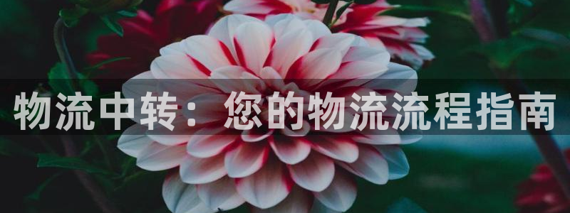 28圈犯法吗