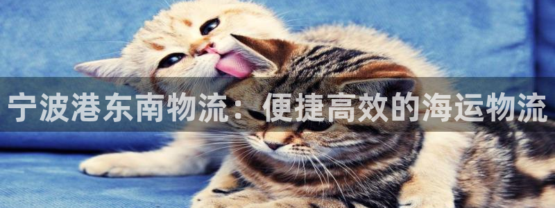 28圈.ccmpc正版
