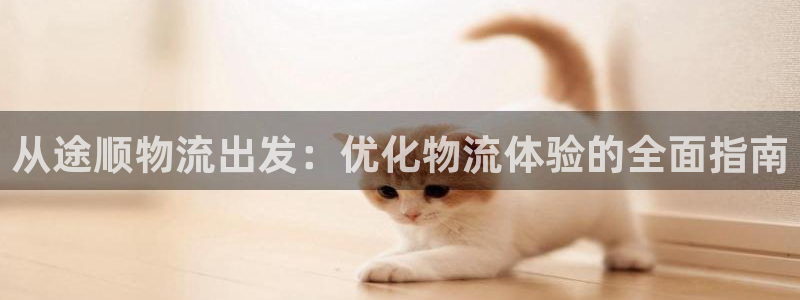 28圈官方官网：从途顺物流出发：优化