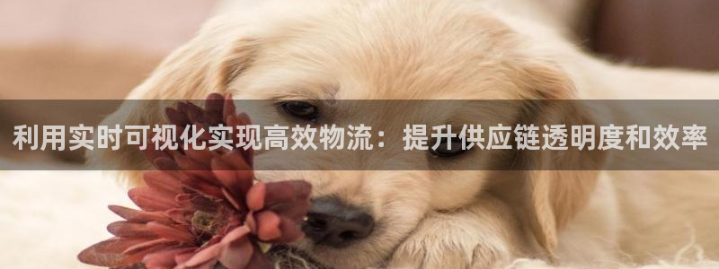 28圈官网版所有版本