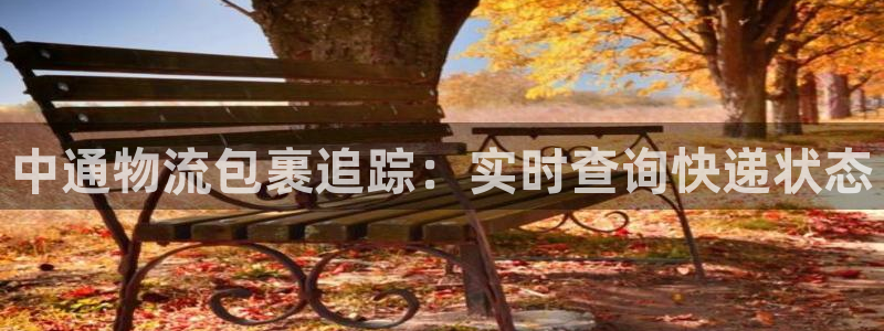 28圈模拟器下载