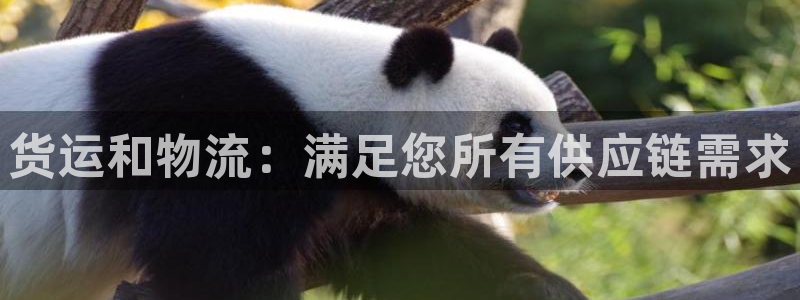 28圈网赌案件