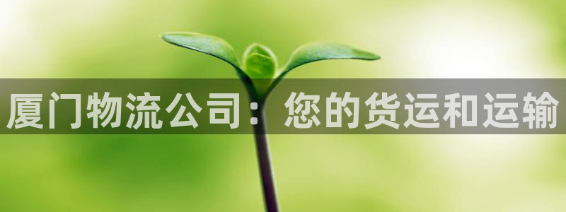 28圈为什么没有赢过一次