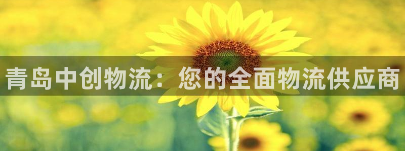 28圈加拿大2.8预测在线预测