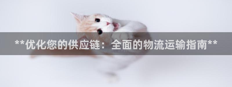 28圈初始资金密码在哪里改