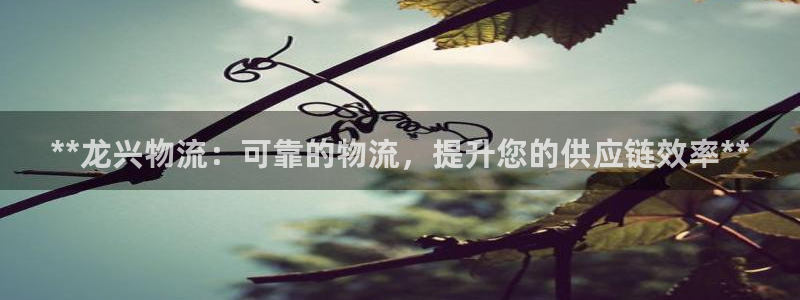 28圈充值不到账怎么办