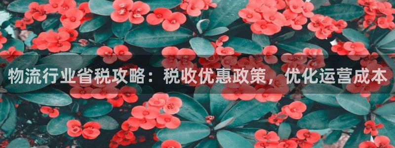28圈官网版所有版本：物流行业省税攻