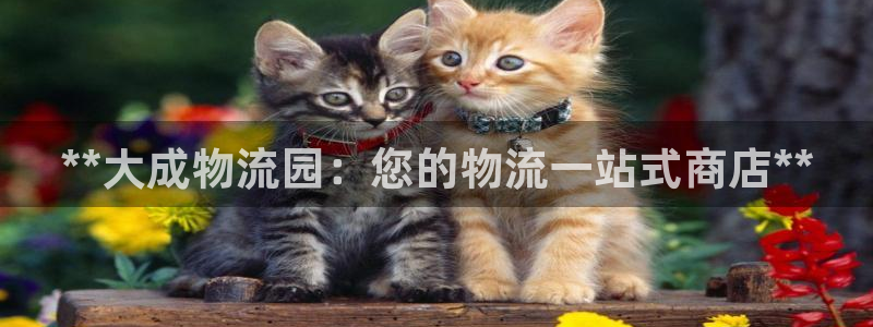 28圈怎么下载