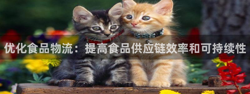 28圈新用户怎么注册：优化食品物流：