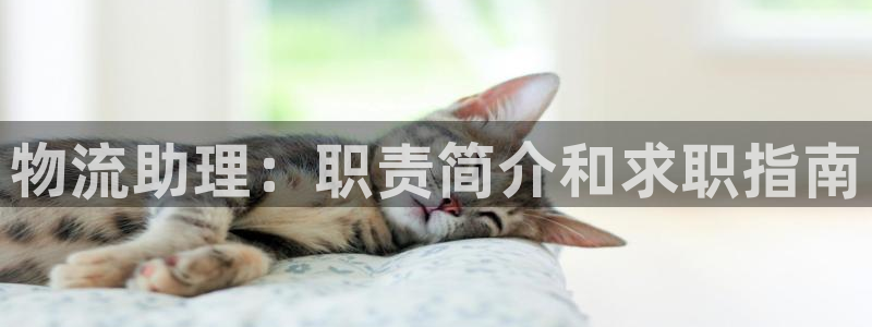 28圈官网下载链接是什么