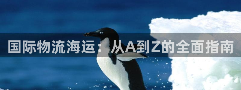 加拿大28圈是什么
