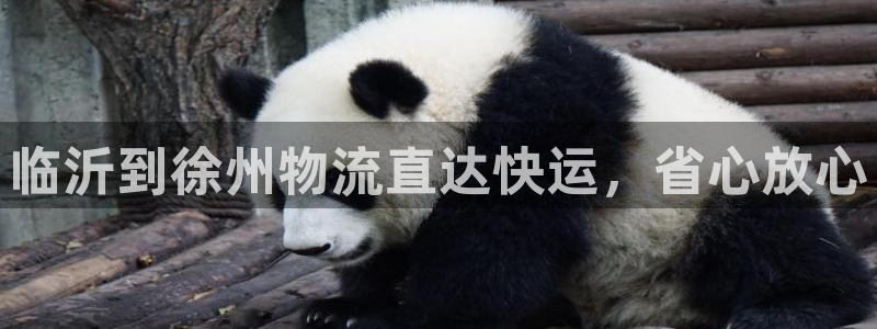 28圈黑不黑