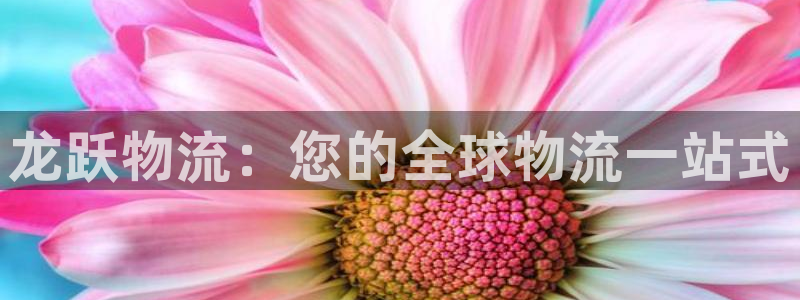 28圈官网网站