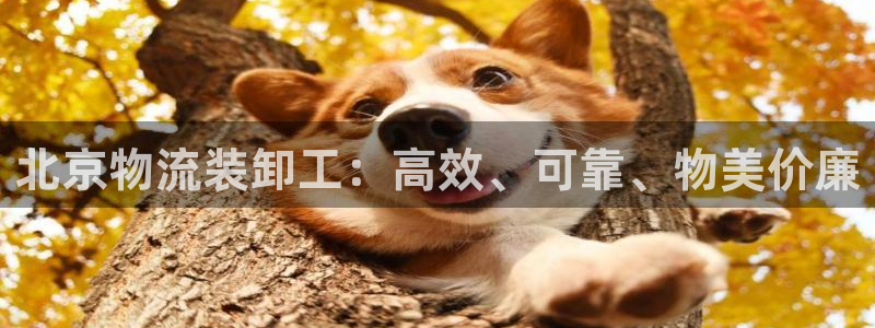 28圈防失联网址
