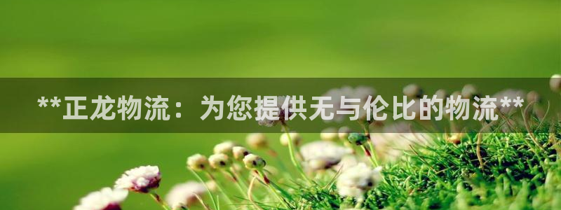 28圈怎么注册：**正龙物流：为您提