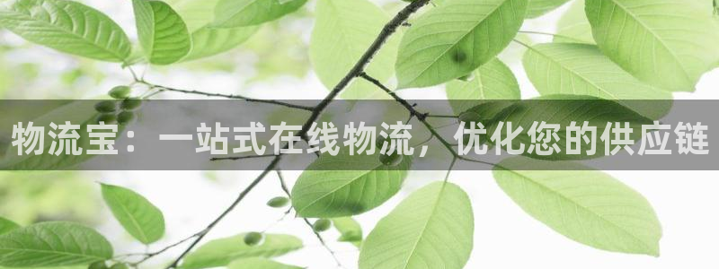 28圈退款教程