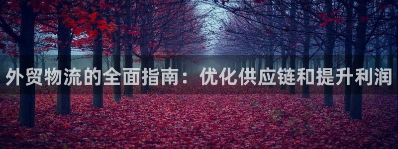 28圈返水怎么算的