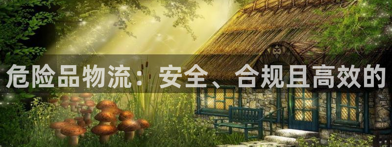 28圈网站平台