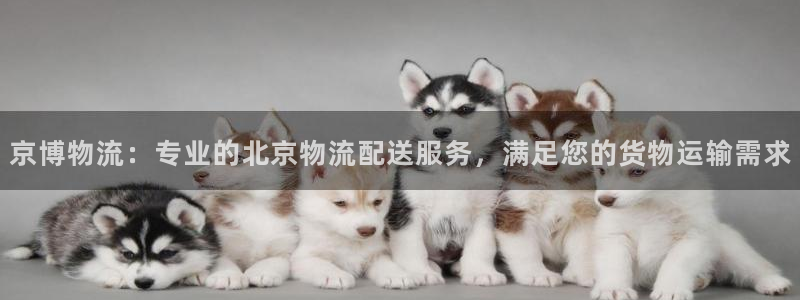 28圈比特28真实吗