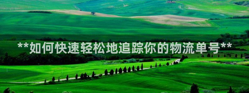 28圈提现不到账