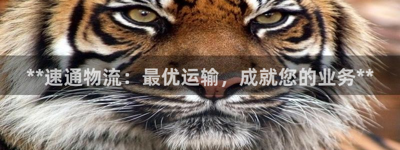28圈app能退款吗