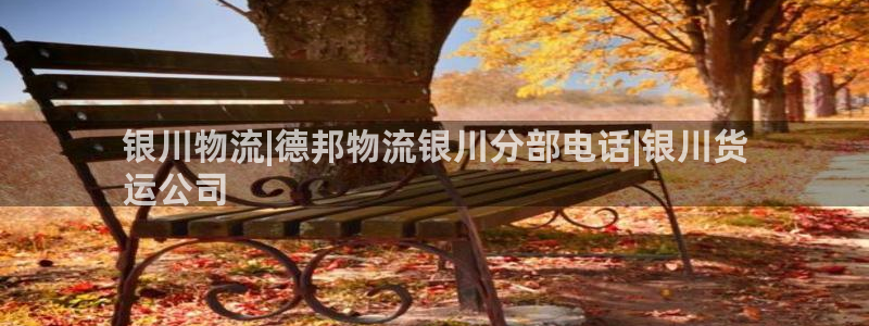 28圈官方网站