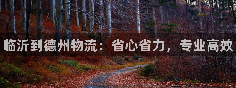 28圈加拿大预测