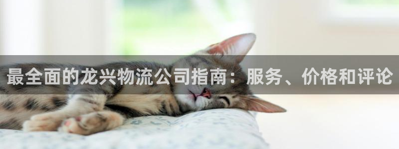 28圈.ccmpc预测