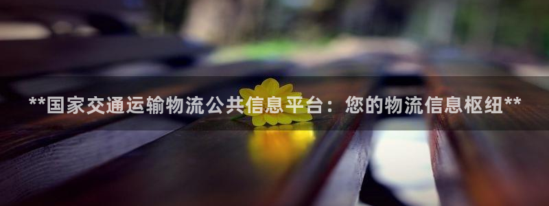 28圈加拿大下载