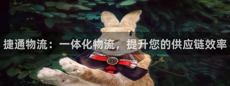 28圈加拿大走势：捷通物流：一体化物