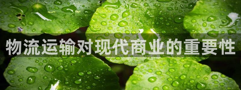 28圈注册账号：物流运输对现代商业的