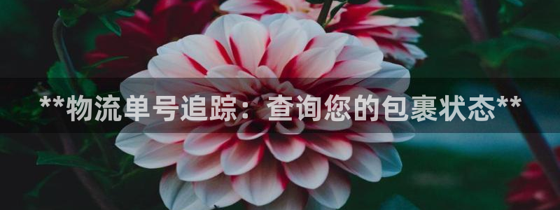 28圈注册网页：**物流单号追踪：查