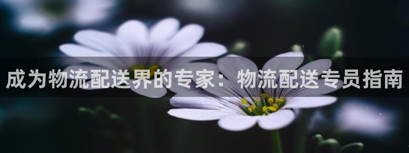 28圈麻将胡了在线试玩：成为物流配送
