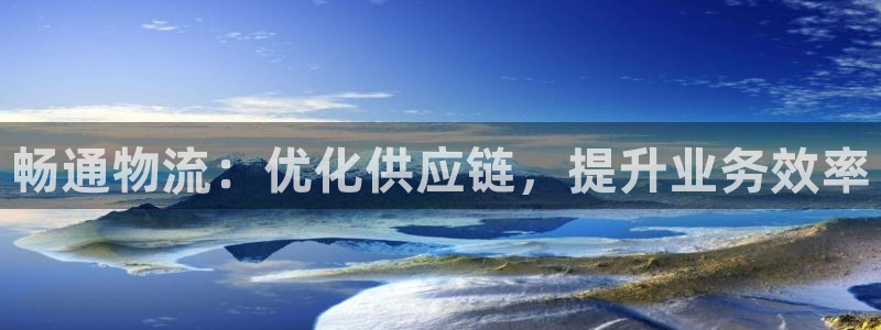 28圈圈助手：畅通物流：优化供应链，