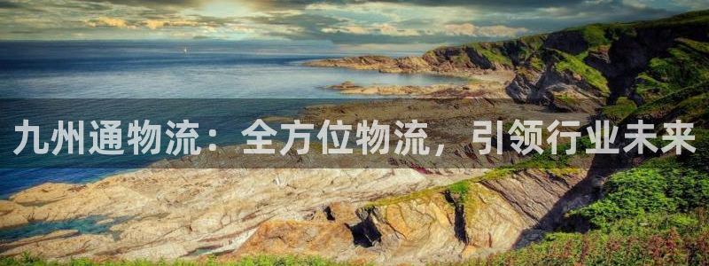 28圈现在狂杀：九州通物流：全方位物流，引领行业未来