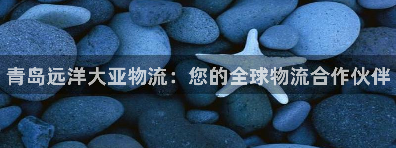 pc28圈怎么注册：青岛远洋大亚物流