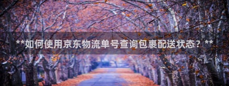 28圈注册网页版：**如何使用京东物
