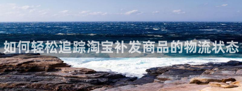 28圈登陆网：如何轻松追踪淘宝补发商品的物流状态