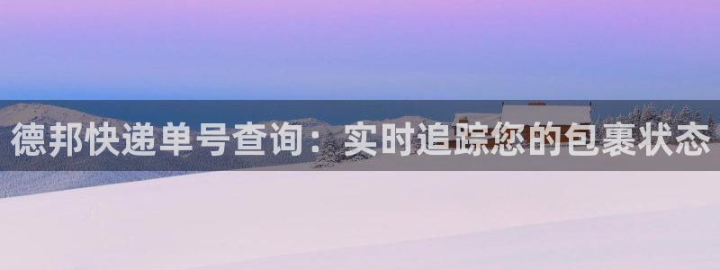 28圈注册与教程：德邦快递单号查询：实时追踪您的包裹状态