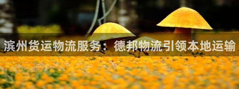 28圈加拿大28