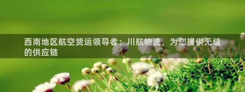 28圈体育下载：西南地区航空货运领导