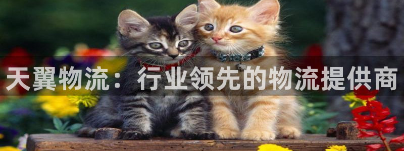 麻将128圈：天翼物流：行业领先的物