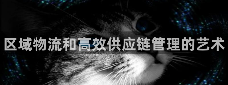28圈是干嘛的：区域物流和高效供应链