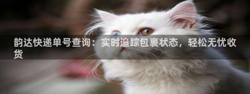 28圈在线预测官网：韵达快递单号查询
