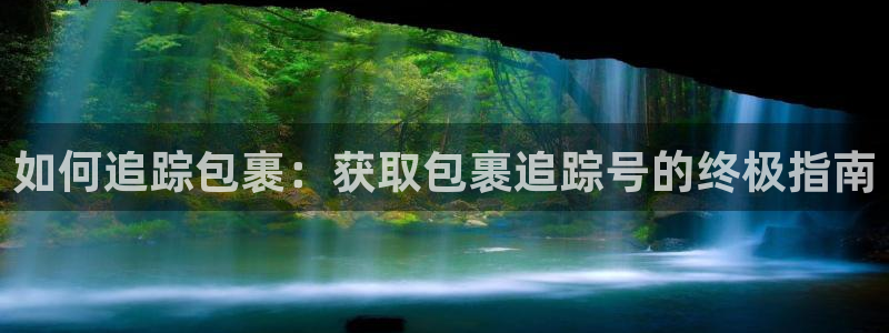 28圈注册网页版：如何追踪包裹：获取