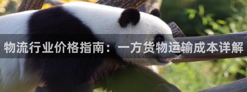 28圈官方：物流行业价格指南：一方货
