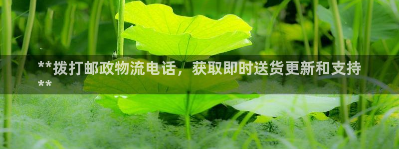 28圈软件是什么