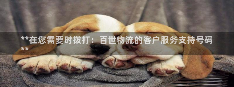 28圈圈：**在您需要时拨打：百世物