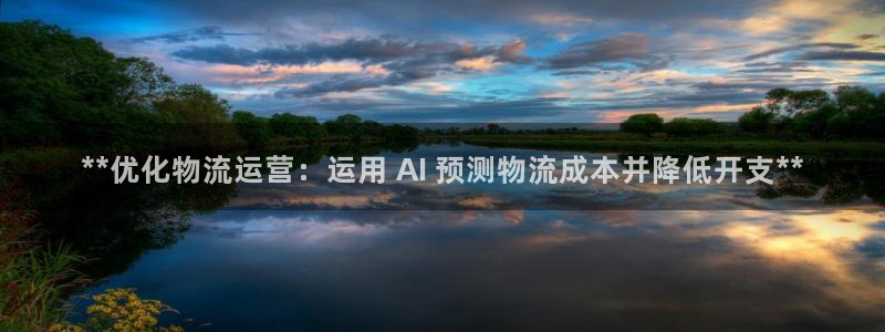 28圈模拟器在线使用：**优化物流运
