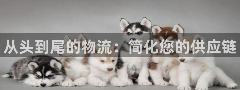 28圈违法吗